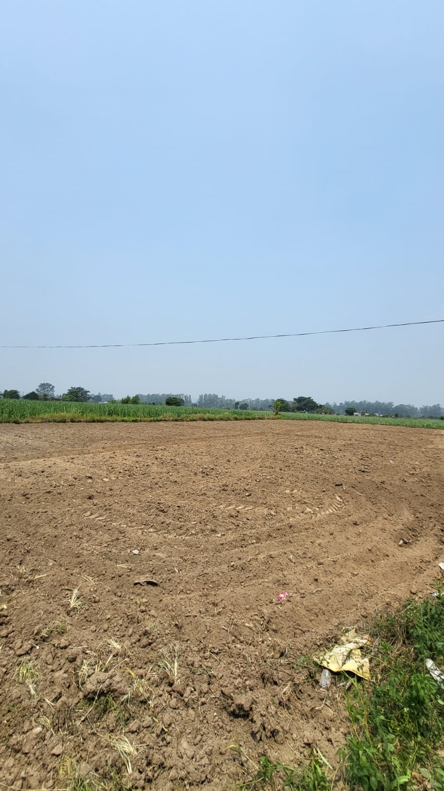 The farm and nature at Tiger Yoga Dhyan Kendra